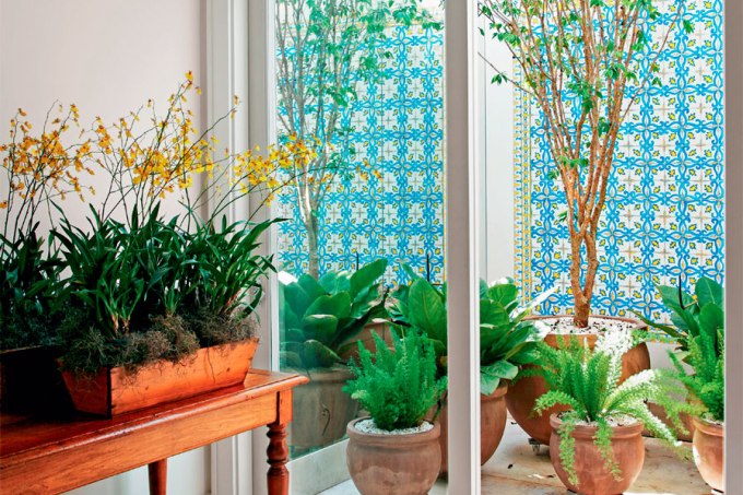 Guia completo de adubação para plantas de interior