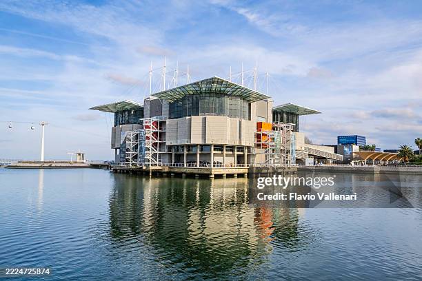 Horários e Atrações Imperdíveis no Oceanário de Lisboa