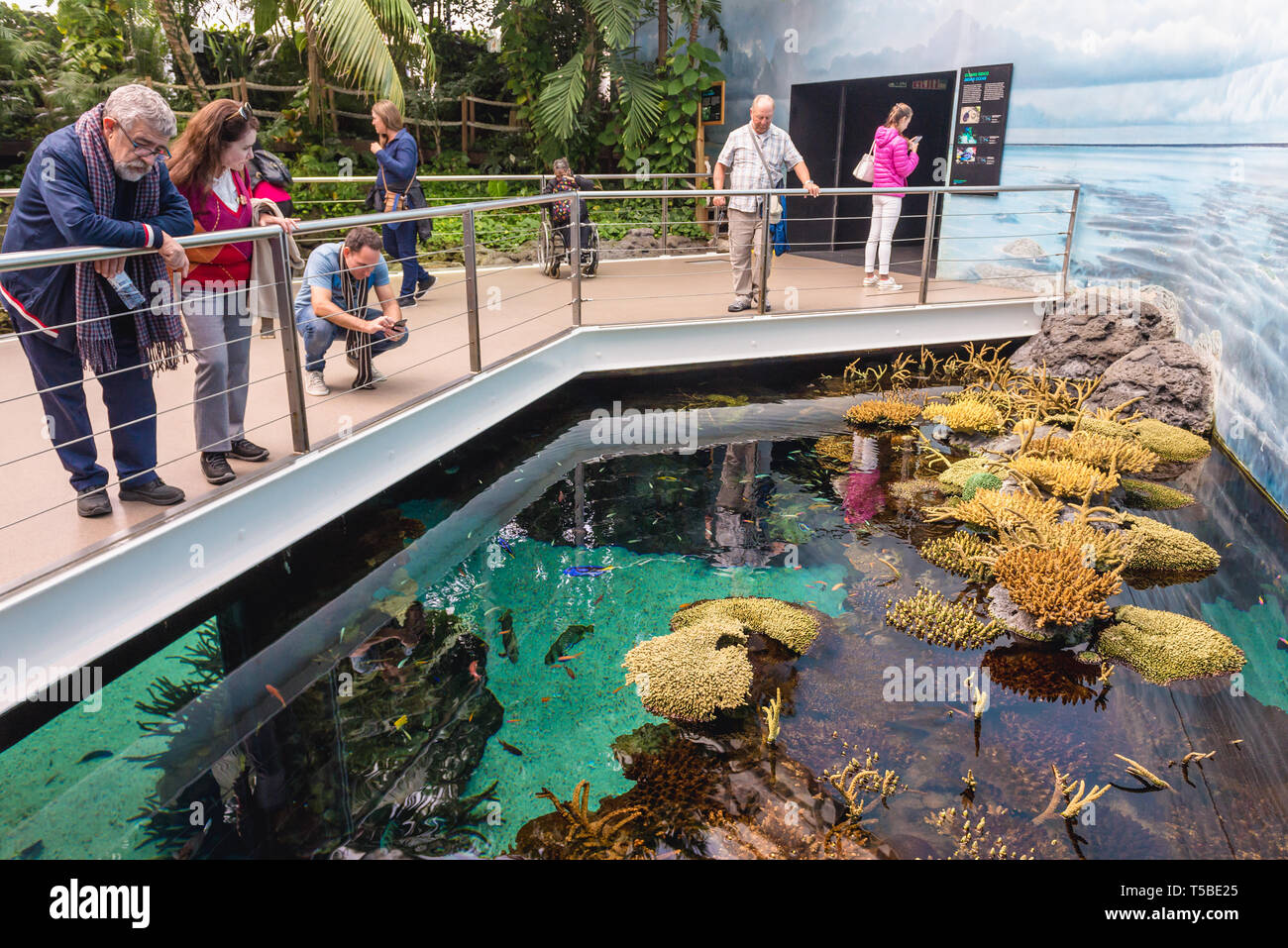 oceanario lisboa portugal fotos