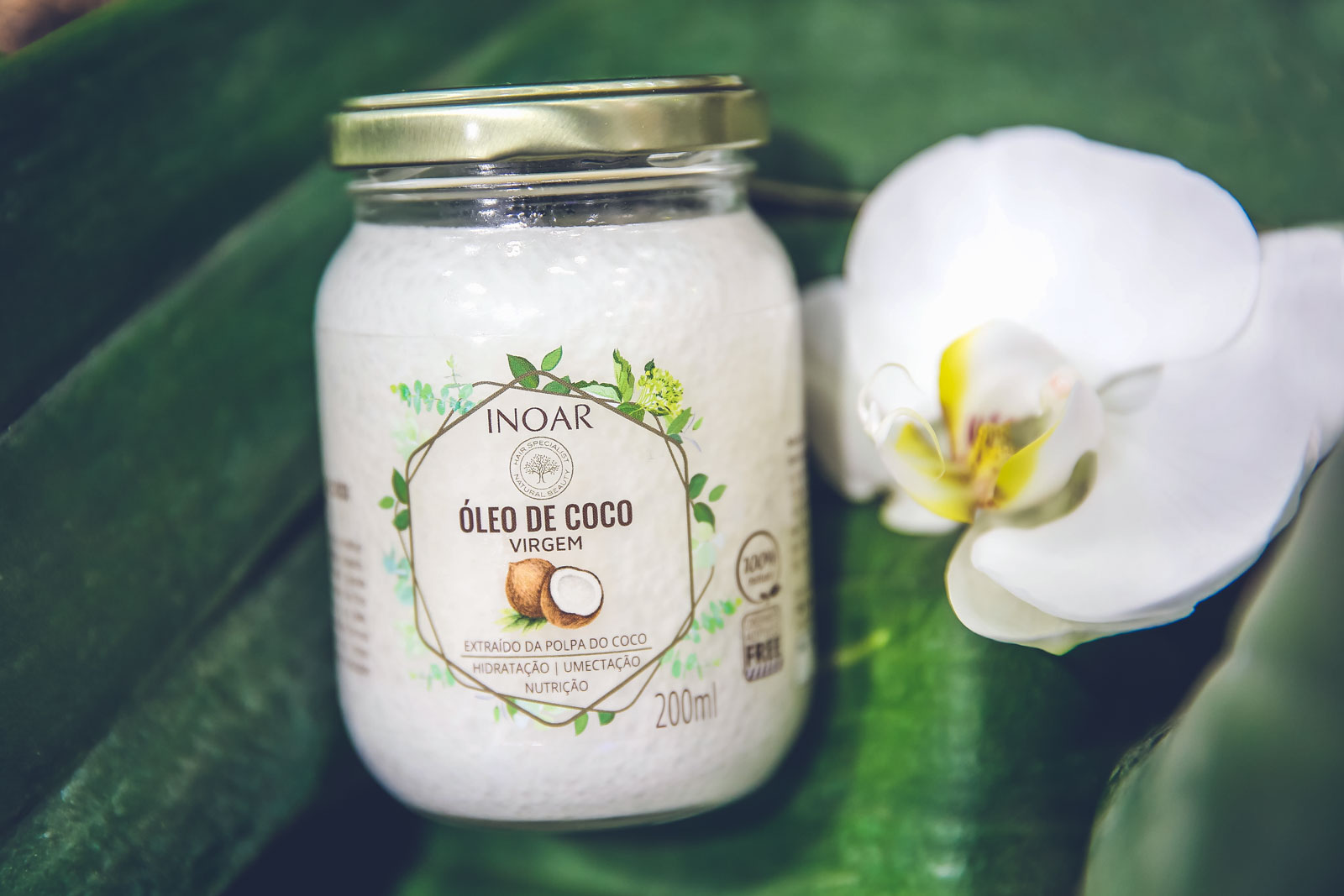 óleo de coco no cabelo