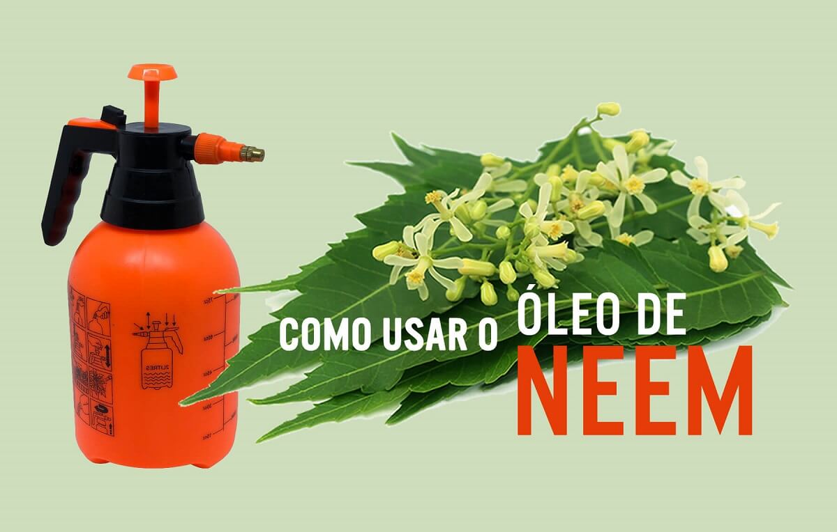 óleo de neem como usar nas plantas