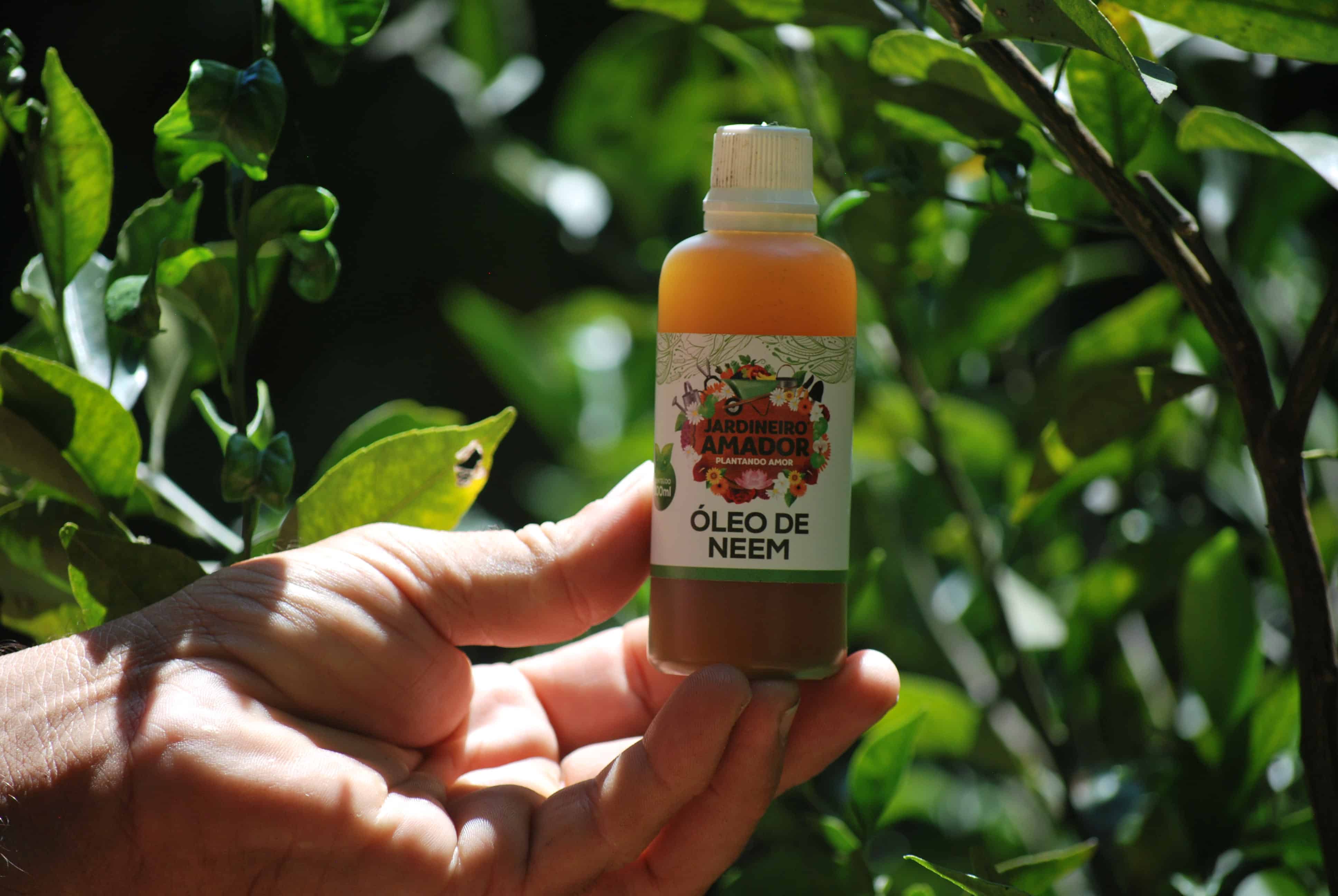Óleo de Neem vs. Pragas Comuns: Qual a Eficácia contra Cochonilhas e Pulgões?