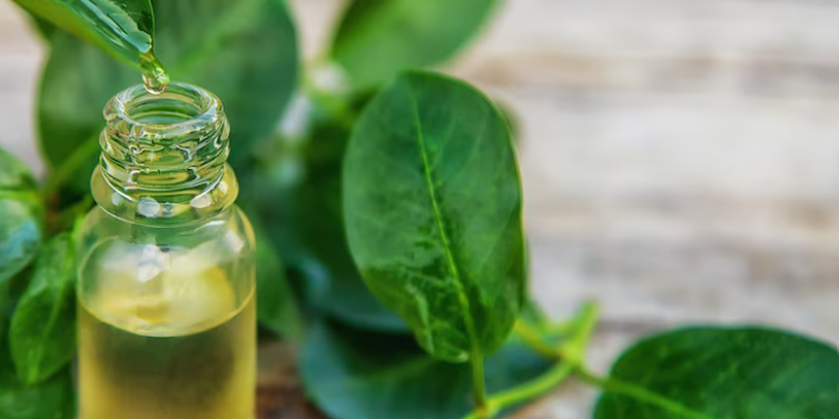 Cuidados Essenciais ao Usar Óleo de Neem em Hortas e Pomares