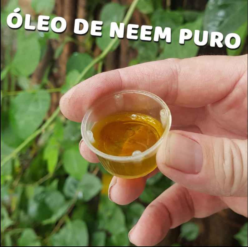 Como Diluir e Aplicar Corretamente o Óleo de Neem em Suas Plantas