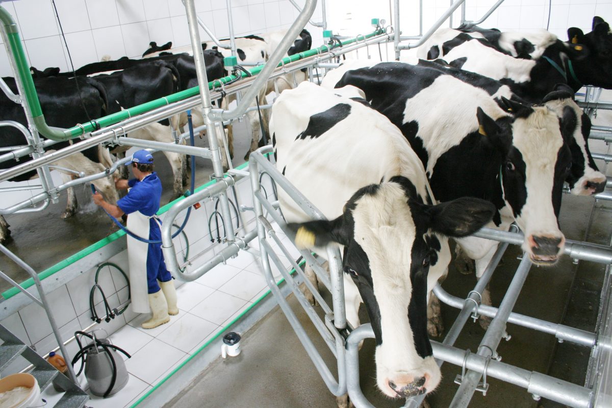 Como Escolher o Melhor Sistema de Ordenha para Sua Fazenda