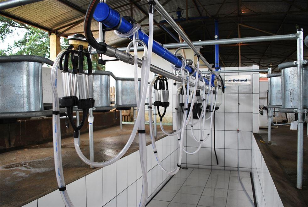 Manutenção de Equipamentos de Ordenha: Dicas Essenciais para Longevidade