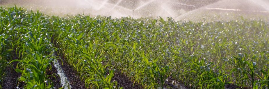 Órgãos responsáveis pela outorga de água em cada estado