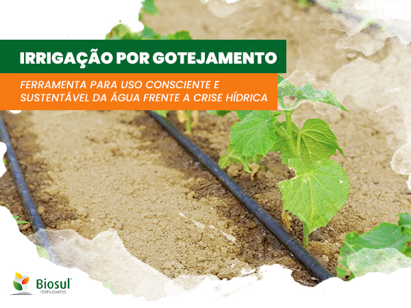 Guia completo: Como solicitar a outorga de água para sua propriedade rural