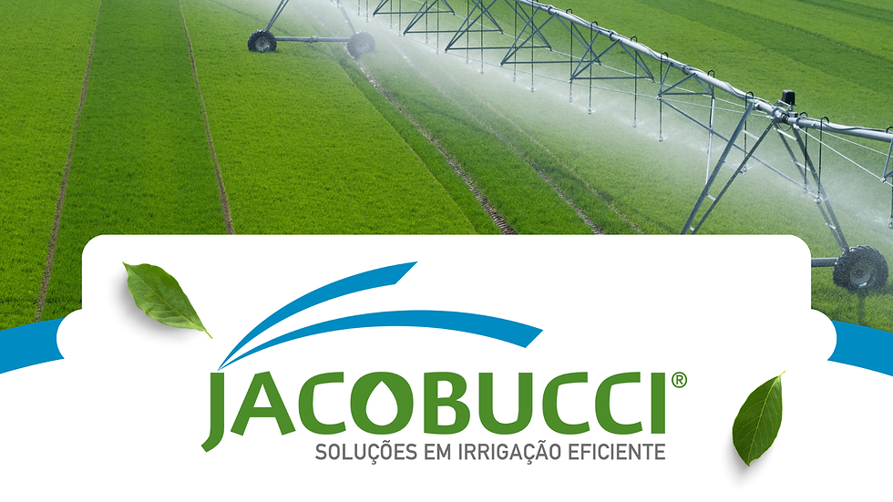 Outorga de água: Entenda os custos e evite multas na irrigação