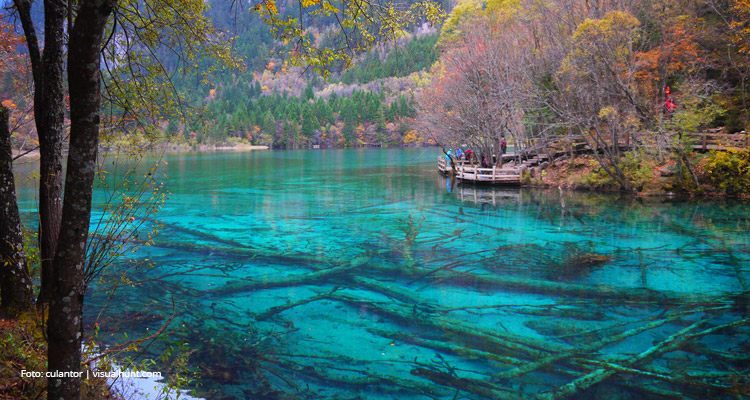 A Importância da Conservação de Ecossistemas Naturais