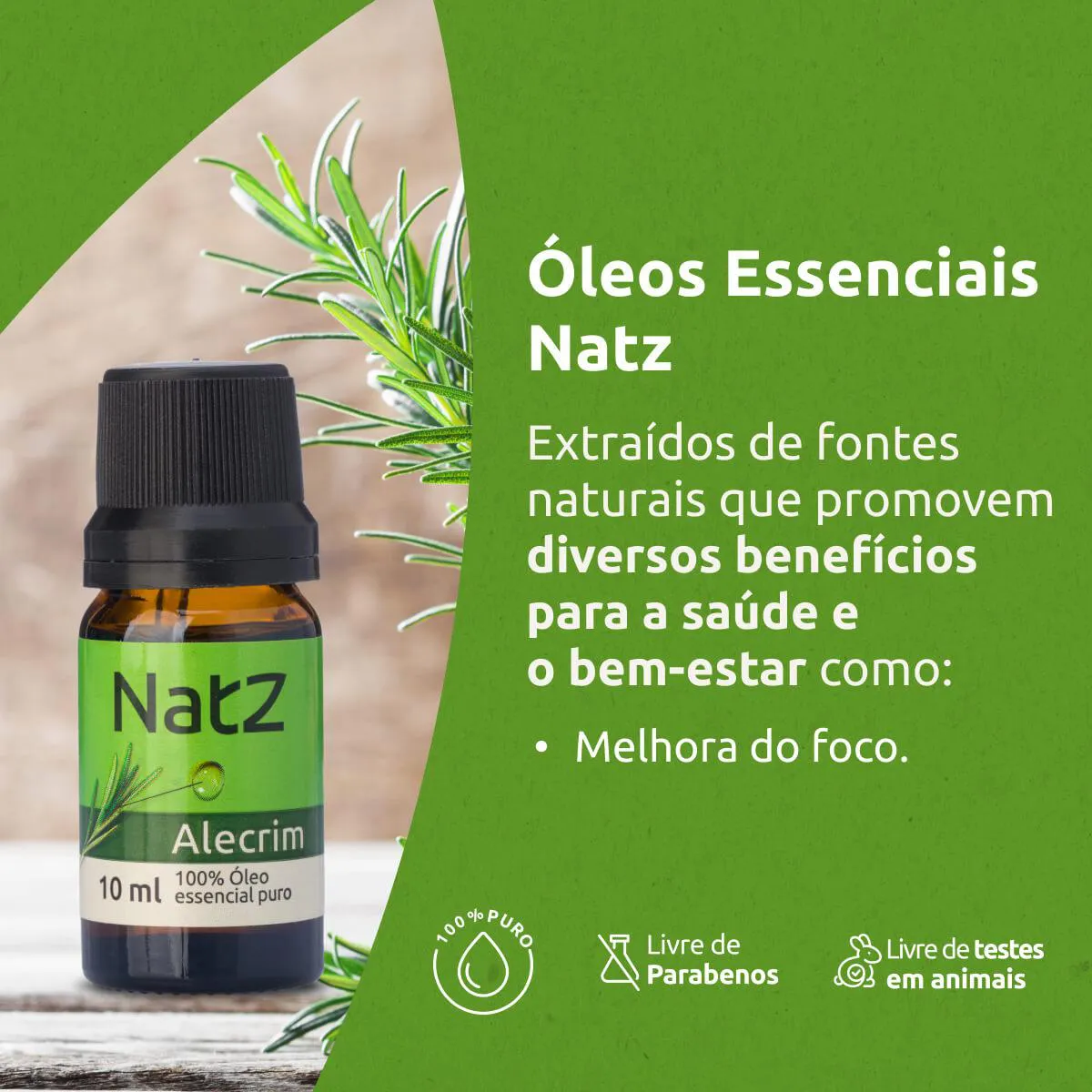 Aromaterapia com Óleo de Alecrim: Como Melhorar Foco e Memória