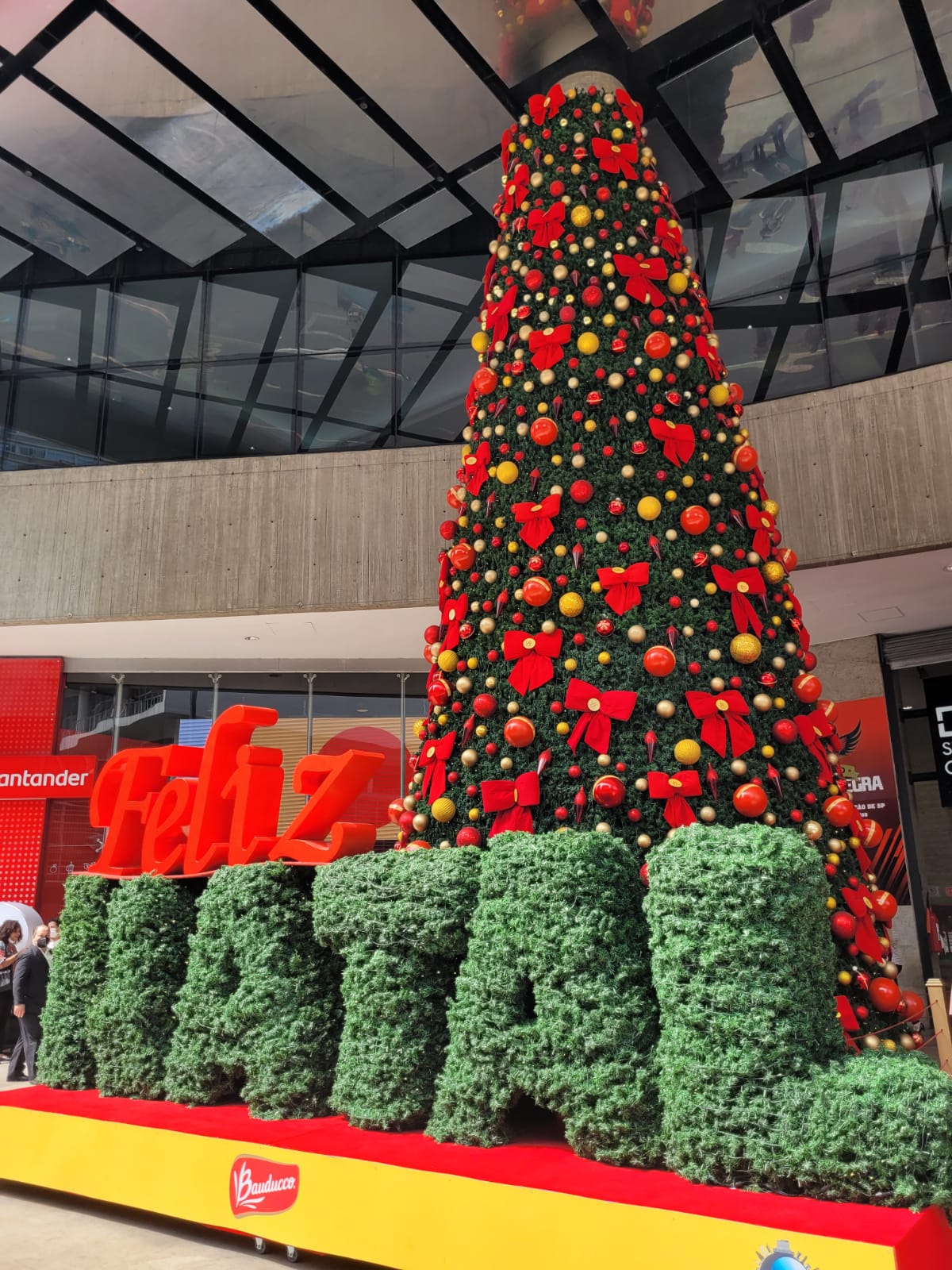 paulista decoração de natal