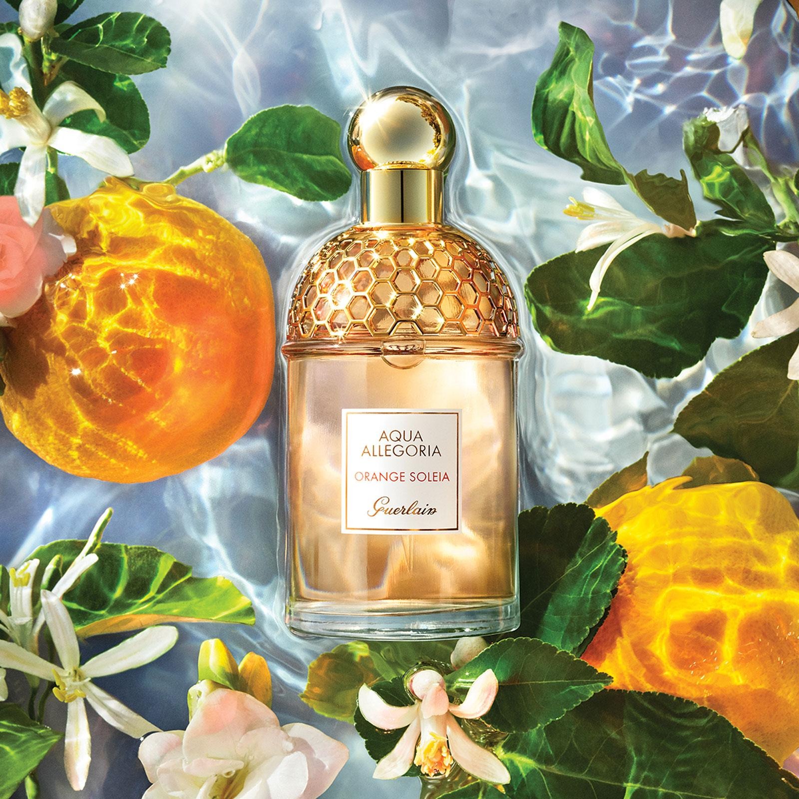 perfume cítrico feminino importado