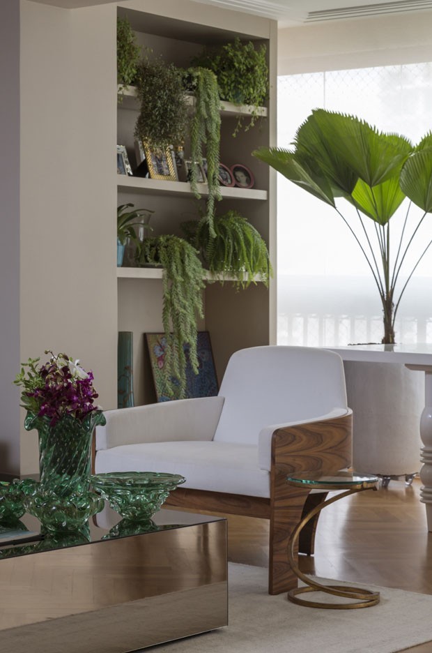 quanto custa decorar um apartamento com plantas