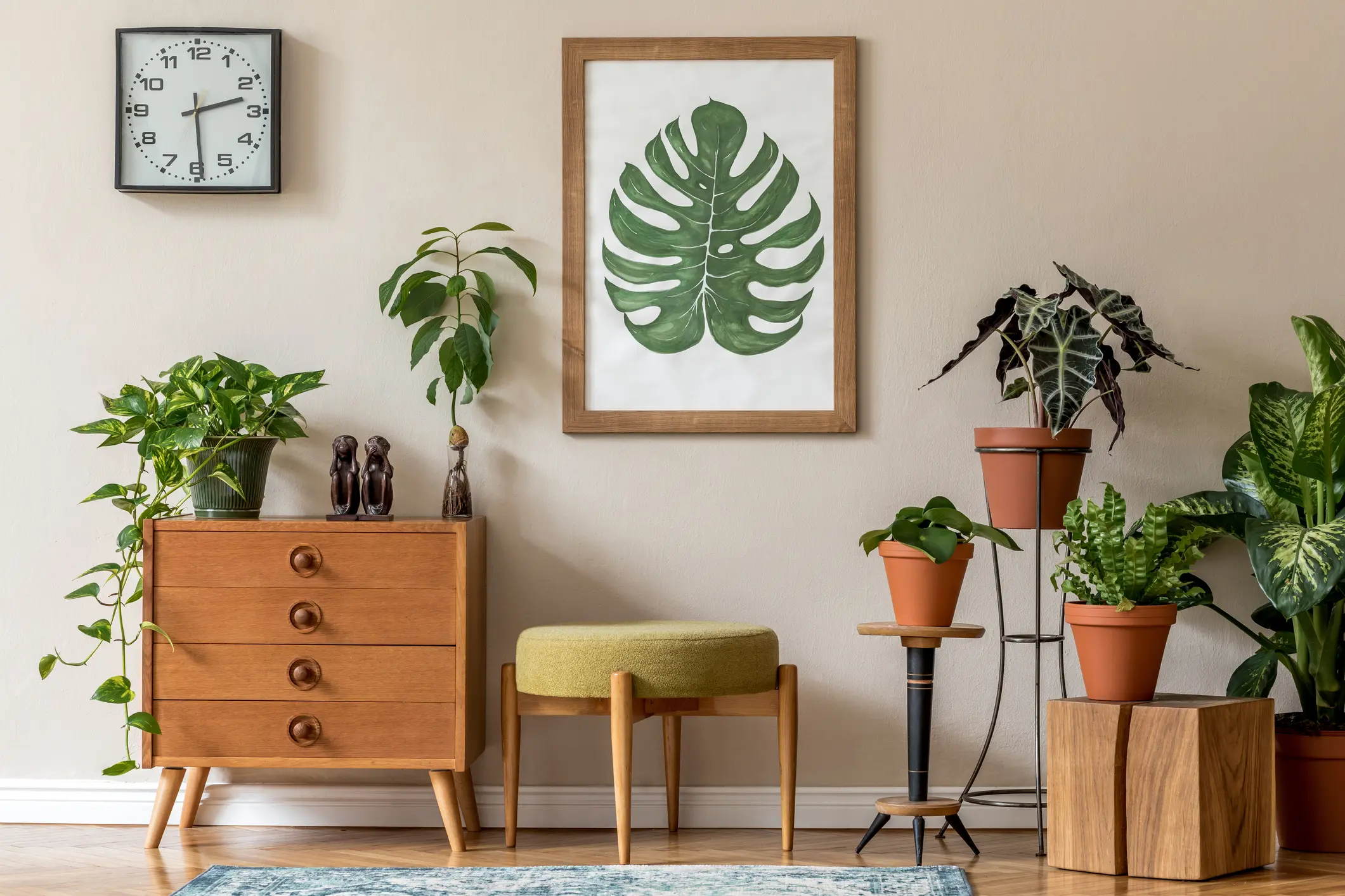 plantas decorativas para sala pequena inspiração