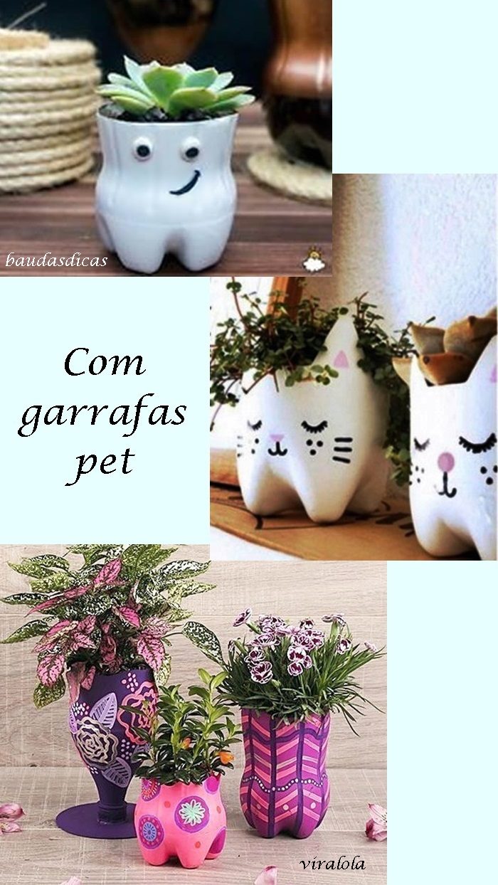 plantas na decoração