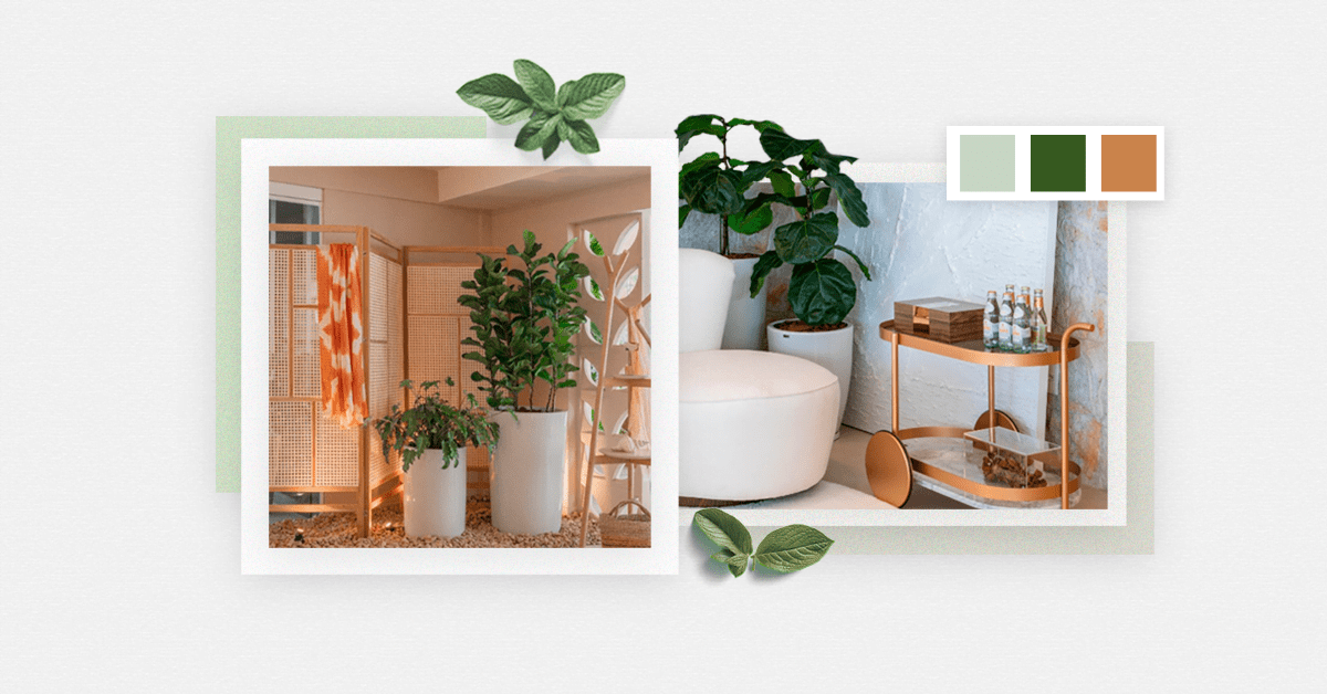 plantas decorativas para sala pequena inspiração