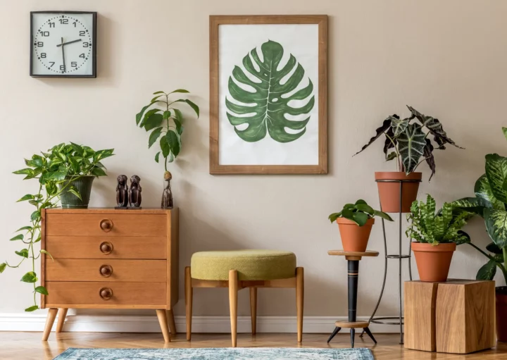 melhores plantas para decorar sala de estar