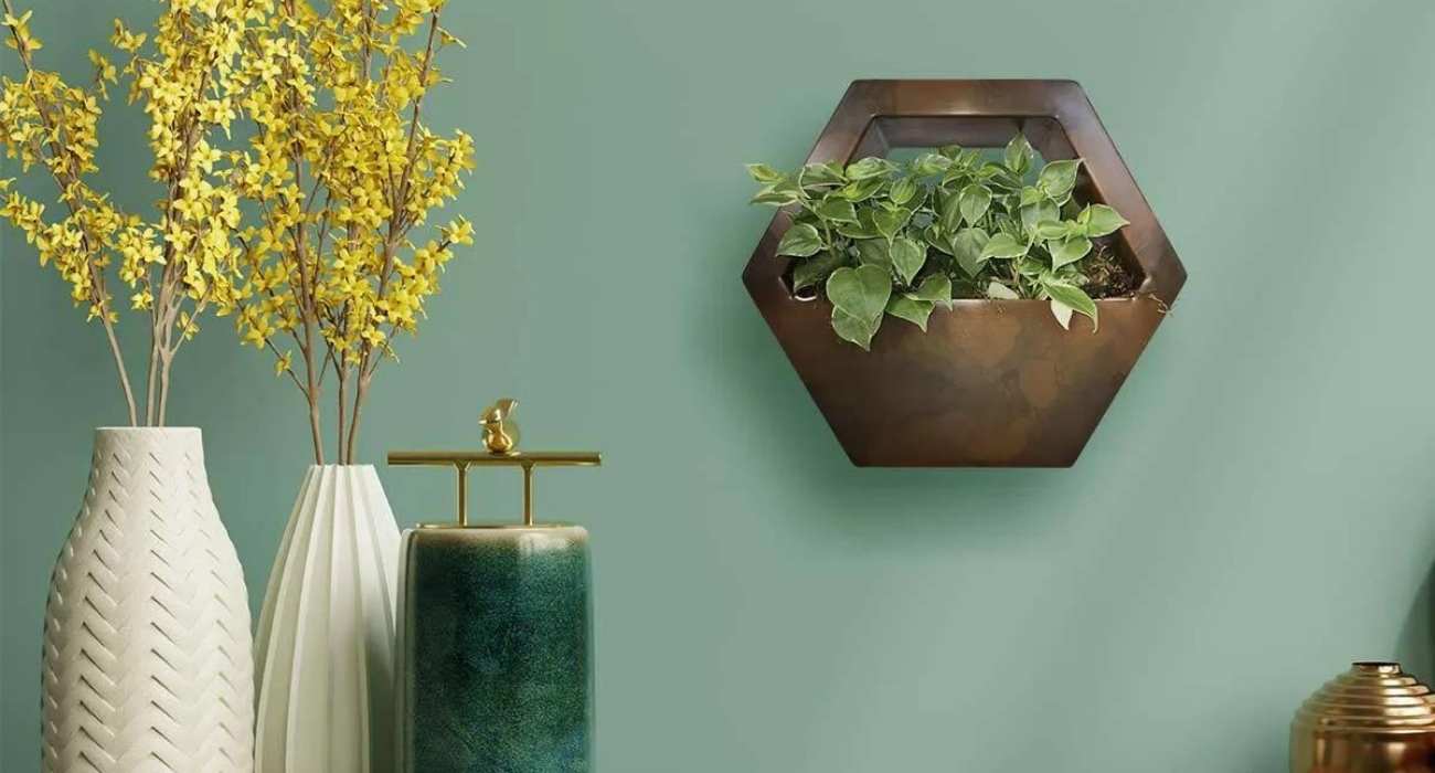 plantas para decorar quarto pequeno