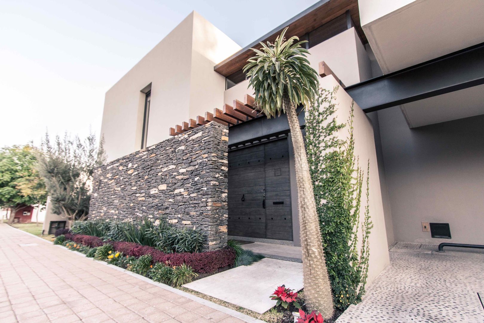 plantas ornamentais para muro