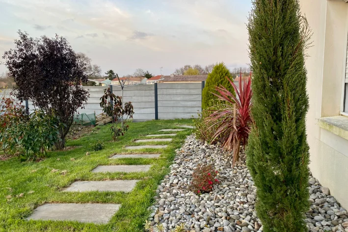 plantas que cobrem muro