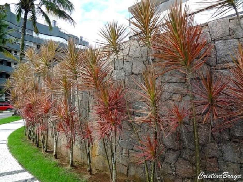 flores para muro