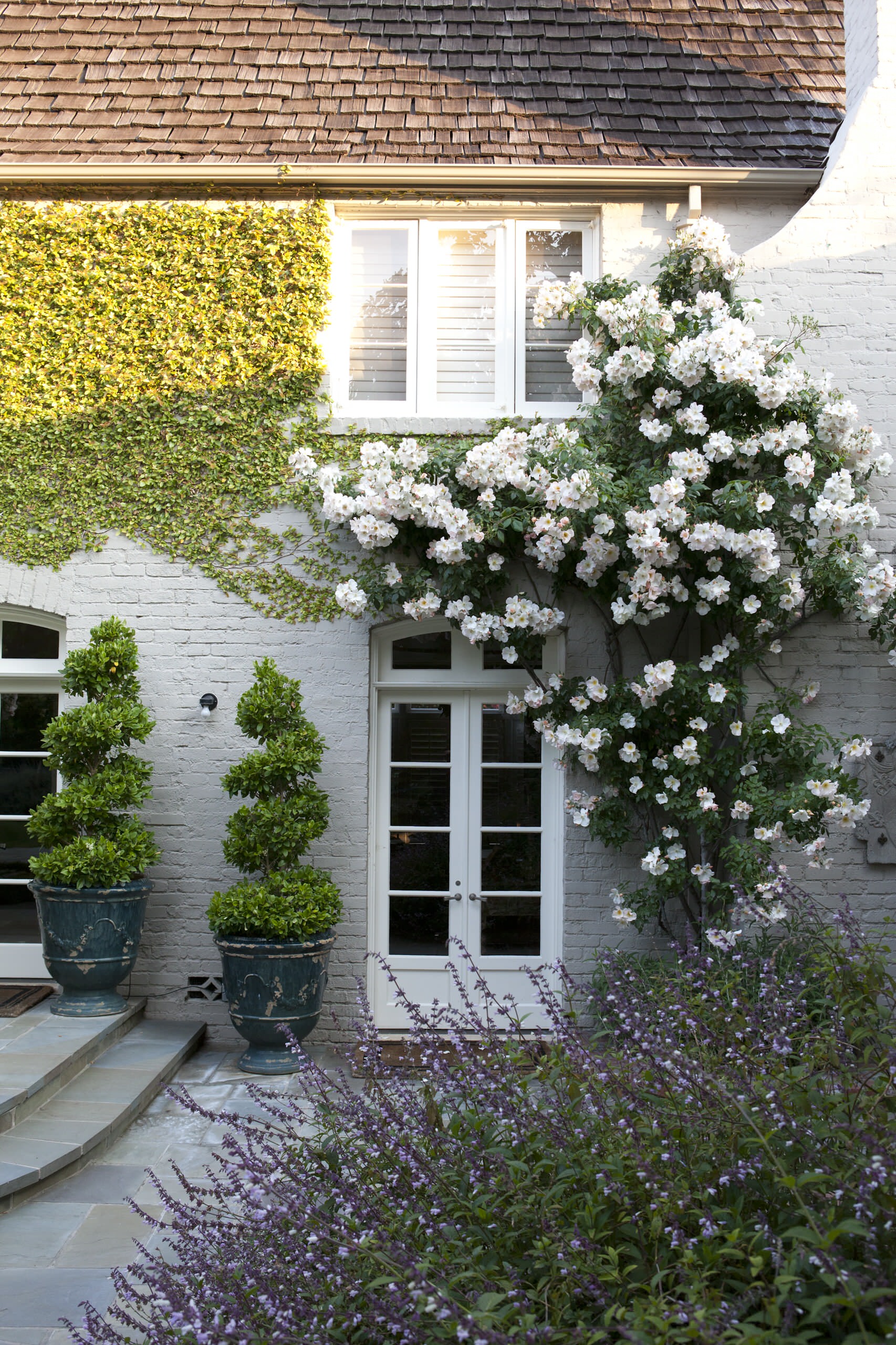 jardim vertical muro