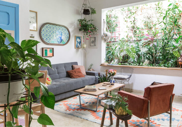 plantas baratas e fáceis de cuidar para sala pequena