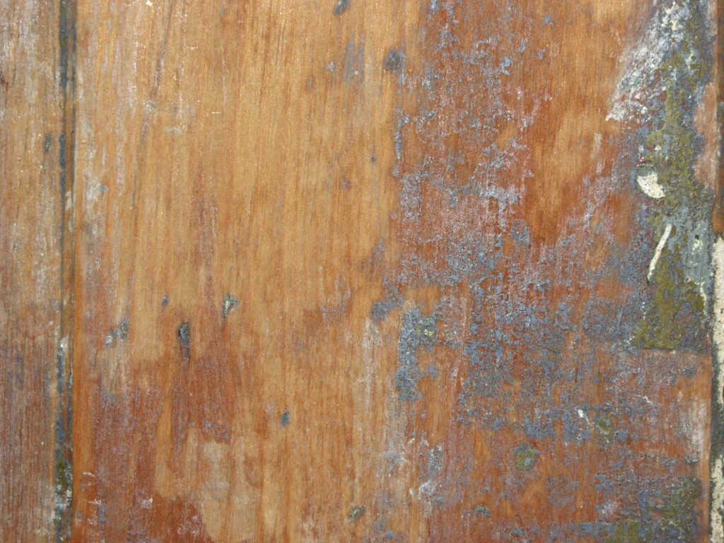 Ferramentas essenciais para ajustar portas de madeira