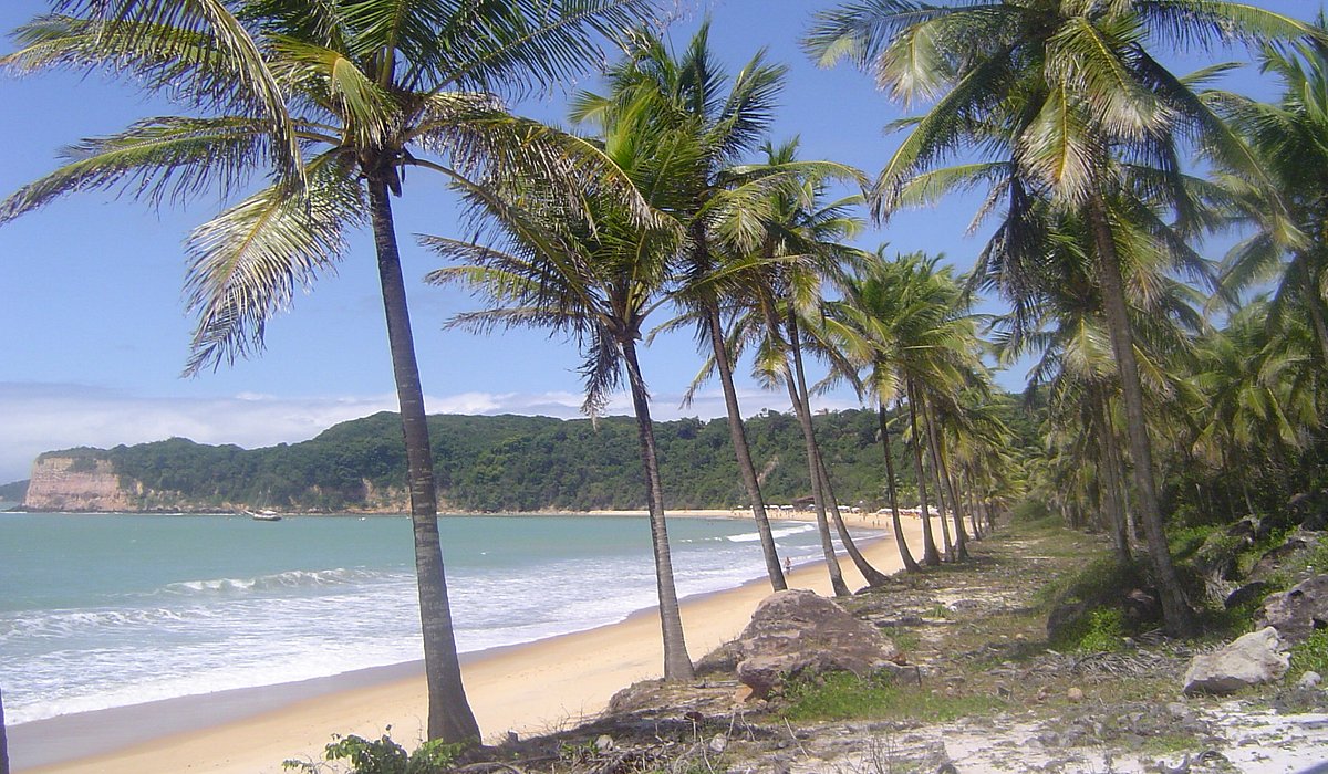 Como chegar em Pipa: opções de transporte