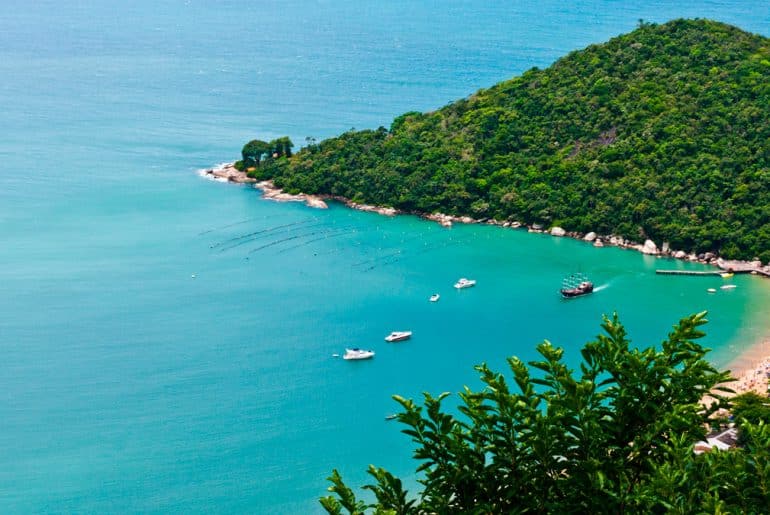 Onde Encontrar as Melhores Ondas: Praias de Surf em SC