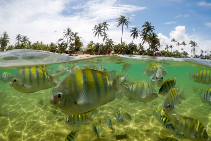 Jericoacoara: O que fazer na vila e arredores