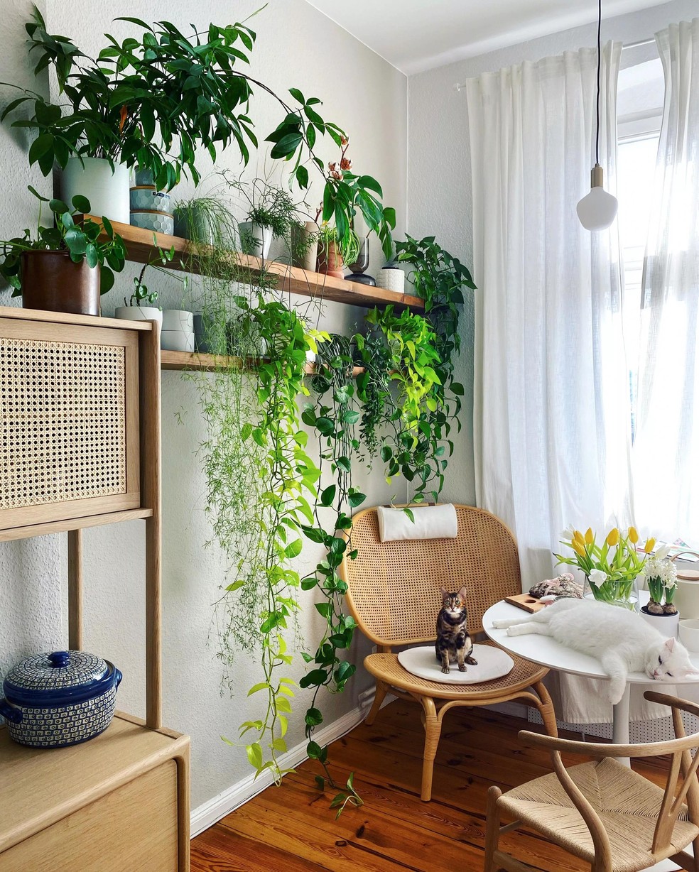 prateleira para decoração de sala