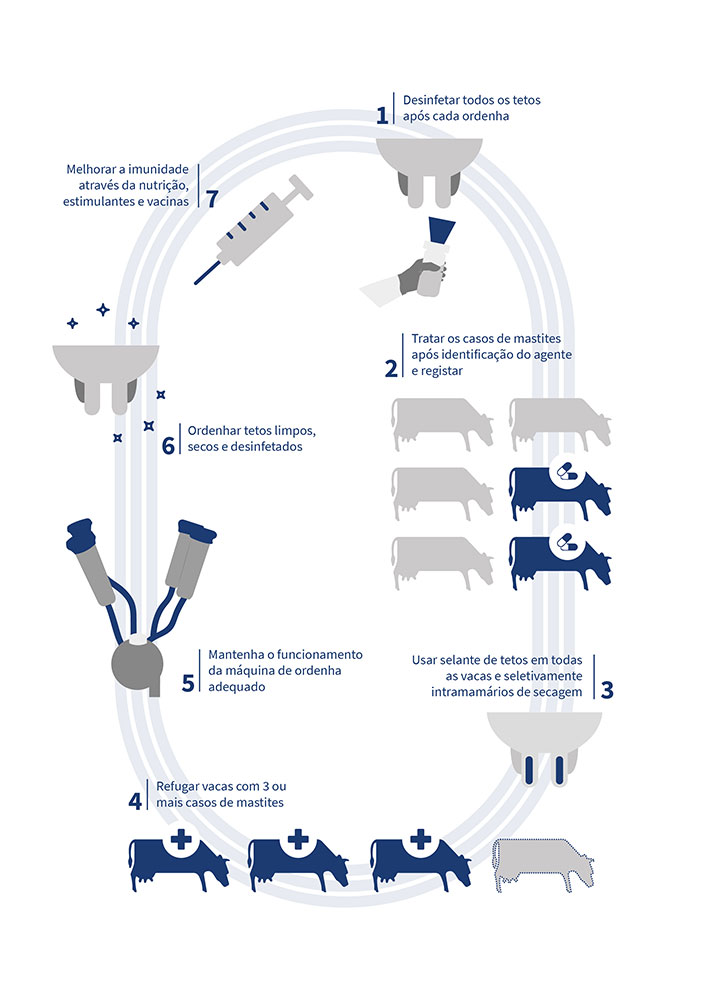 Guia completo do Teste CMT