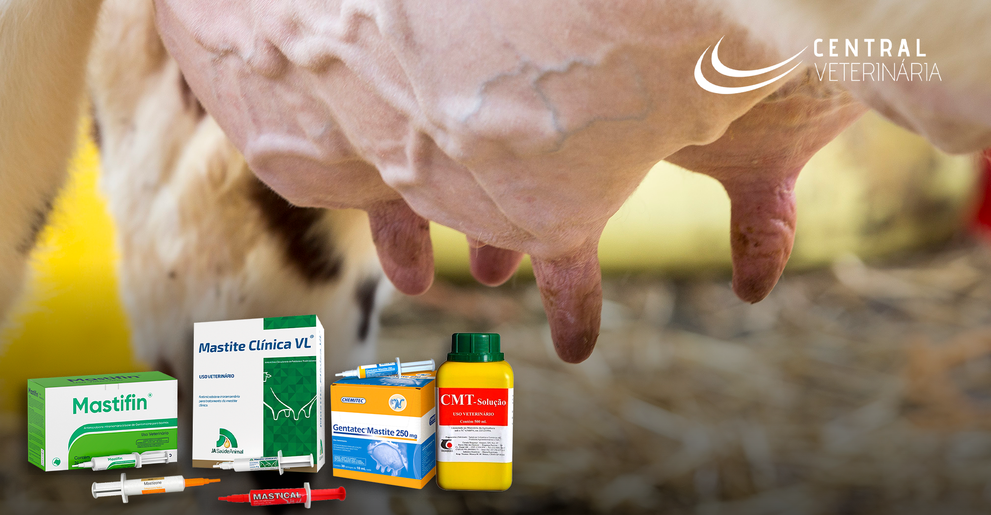 Importância da terapia da vaca seca