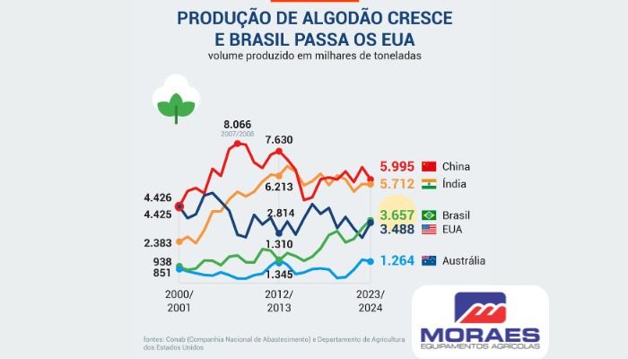 O impacto da sustentabilidade na cadeia de valor do algodão brasileiro