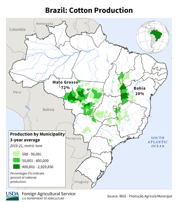 produção de algodão no brasil