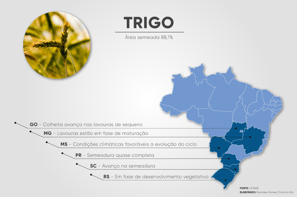 O Avanço do Trigo Tropical no Cerrado Brasileiro: Oportunidades e Desafios