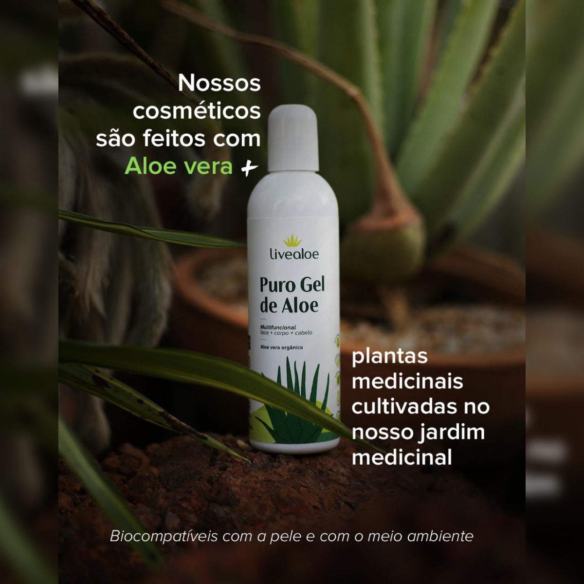 Guia Completo: Como Usar Gel de Babosa para uma Pele Radiante