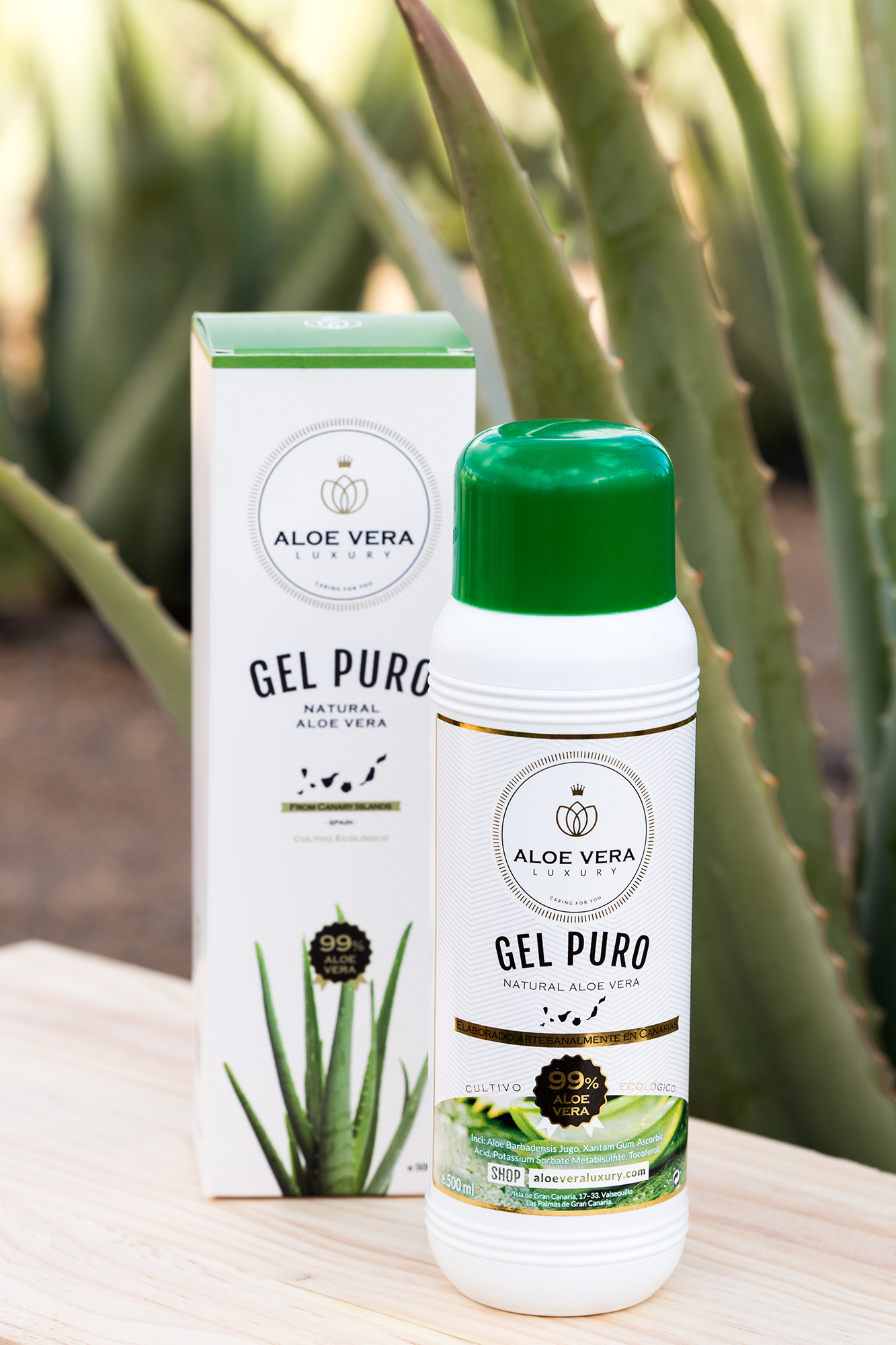 Babosa no Cabelo: Transforme Seus Fios com Este Ingrediente Natural