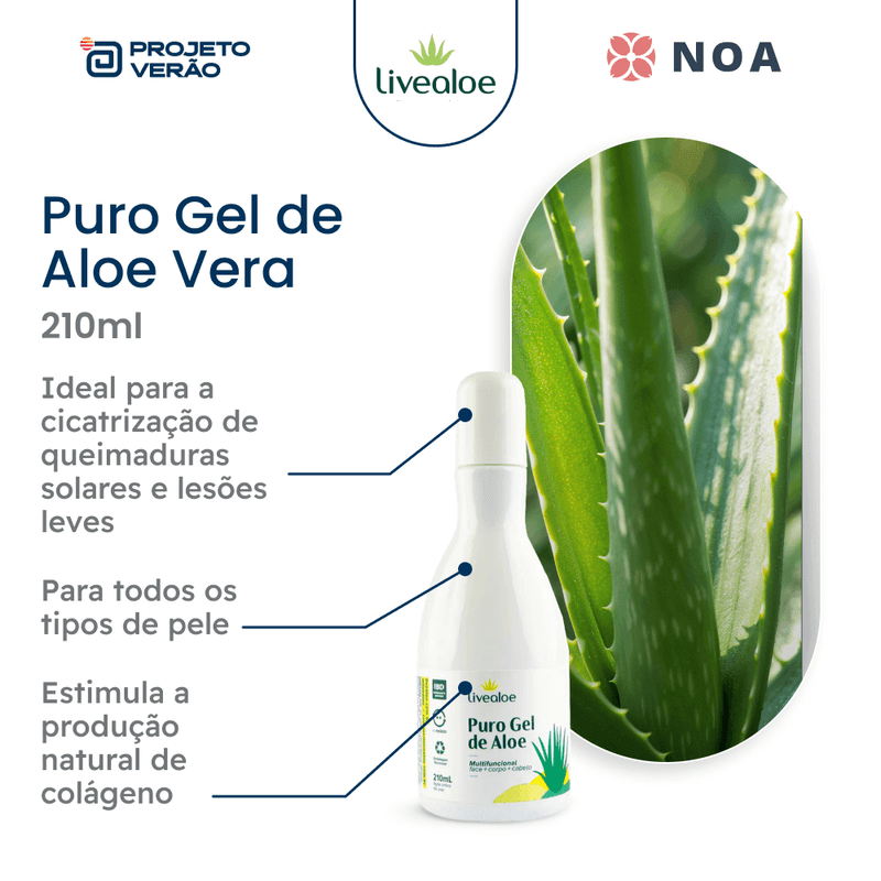 Gel de Aloe Vera: Benefícios Anti-idade e Como Aplicar