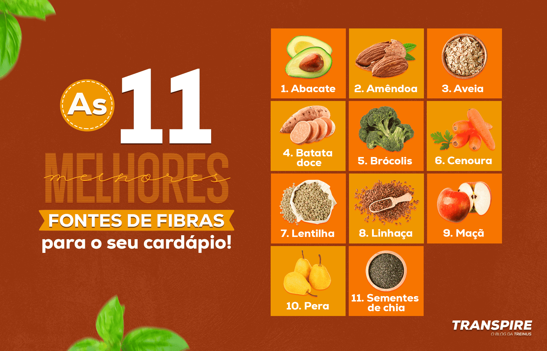 Guia Completo: Alimentos Ricos em Fibras