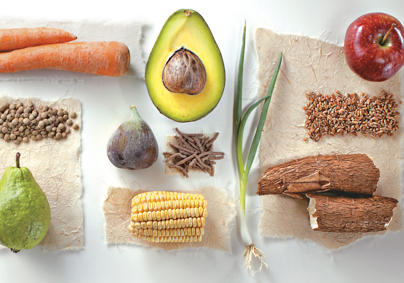 Guia Completo: Alimentos Ricos em Fibras