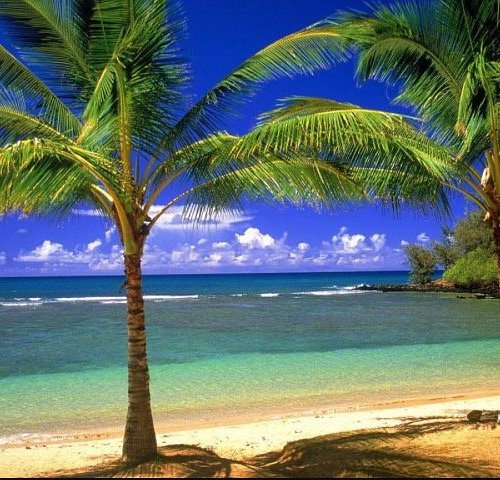 qual a melhor praia de maceio