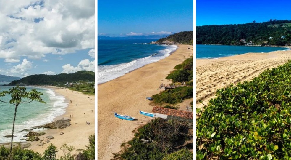 Guia Completo: Praias de Santa Catarina para Famílias com Crianças