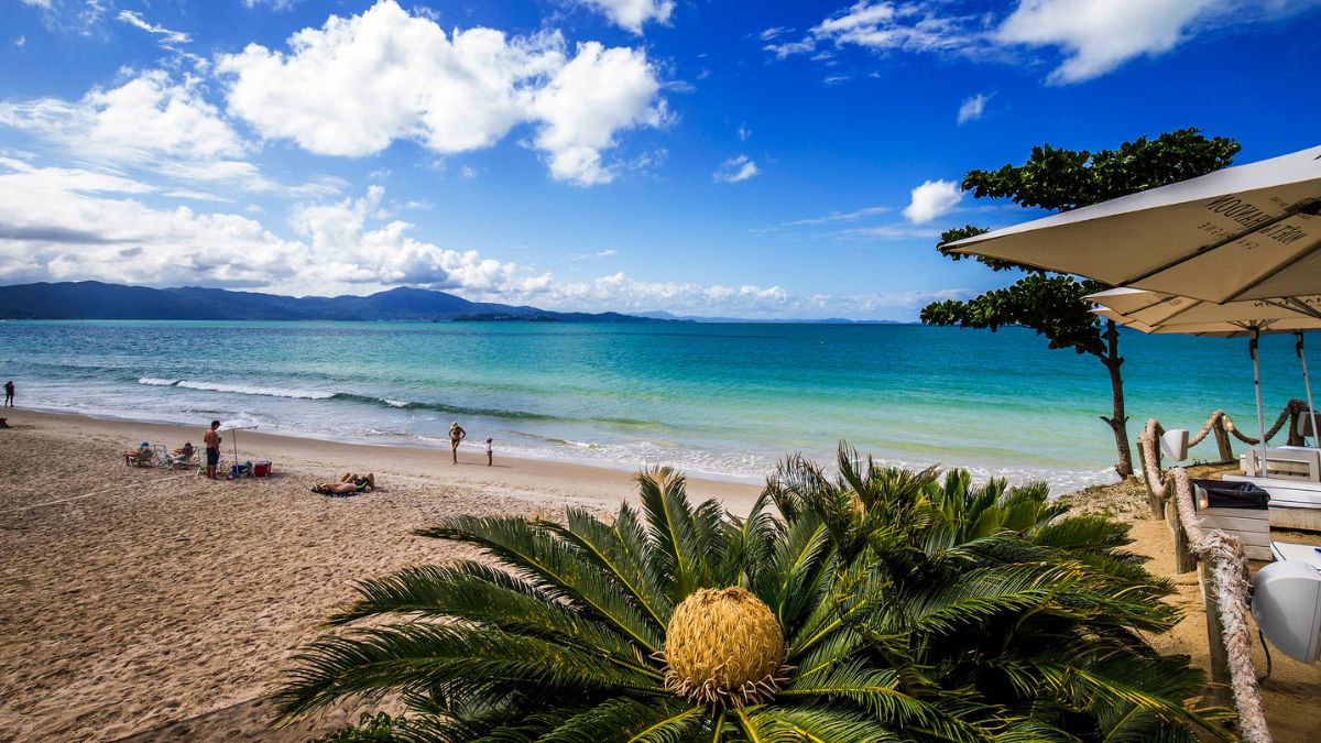 Praias de Santa Catarina com Águas Mais Quentes: Fuja do Mar Gelado