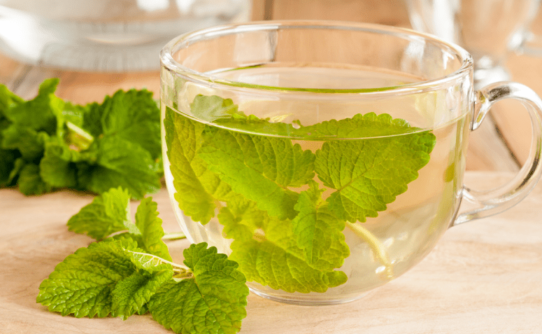 qual chá é bom para gastrite