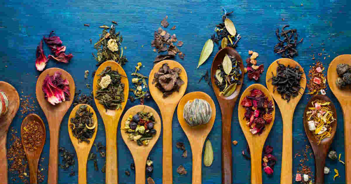 qual chá é bom para gastrite