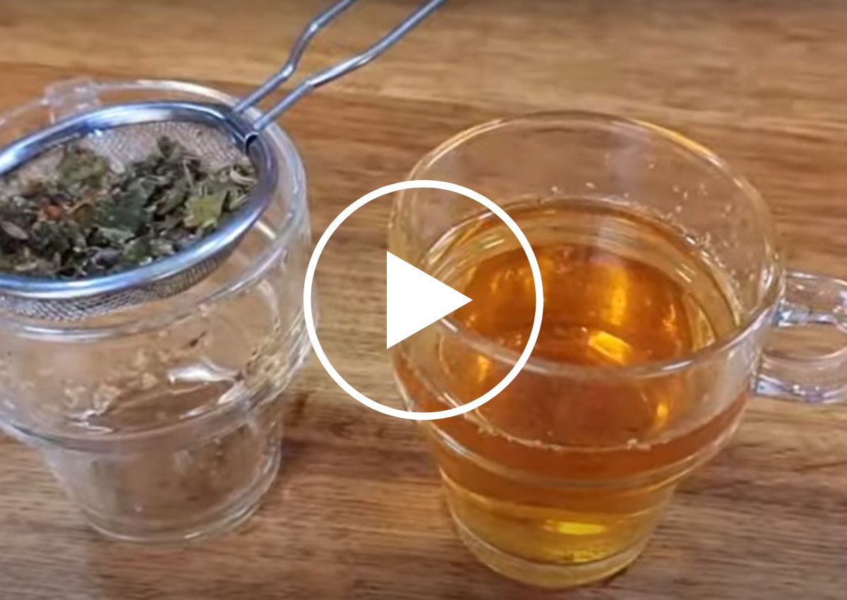 qual chá é bom para gastrite