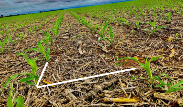 Maquinário Agrícola: Adaptando o Espaçamento da Soja para Otimizar a Colheita